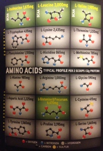 the amino acid profile of Muscle Milk